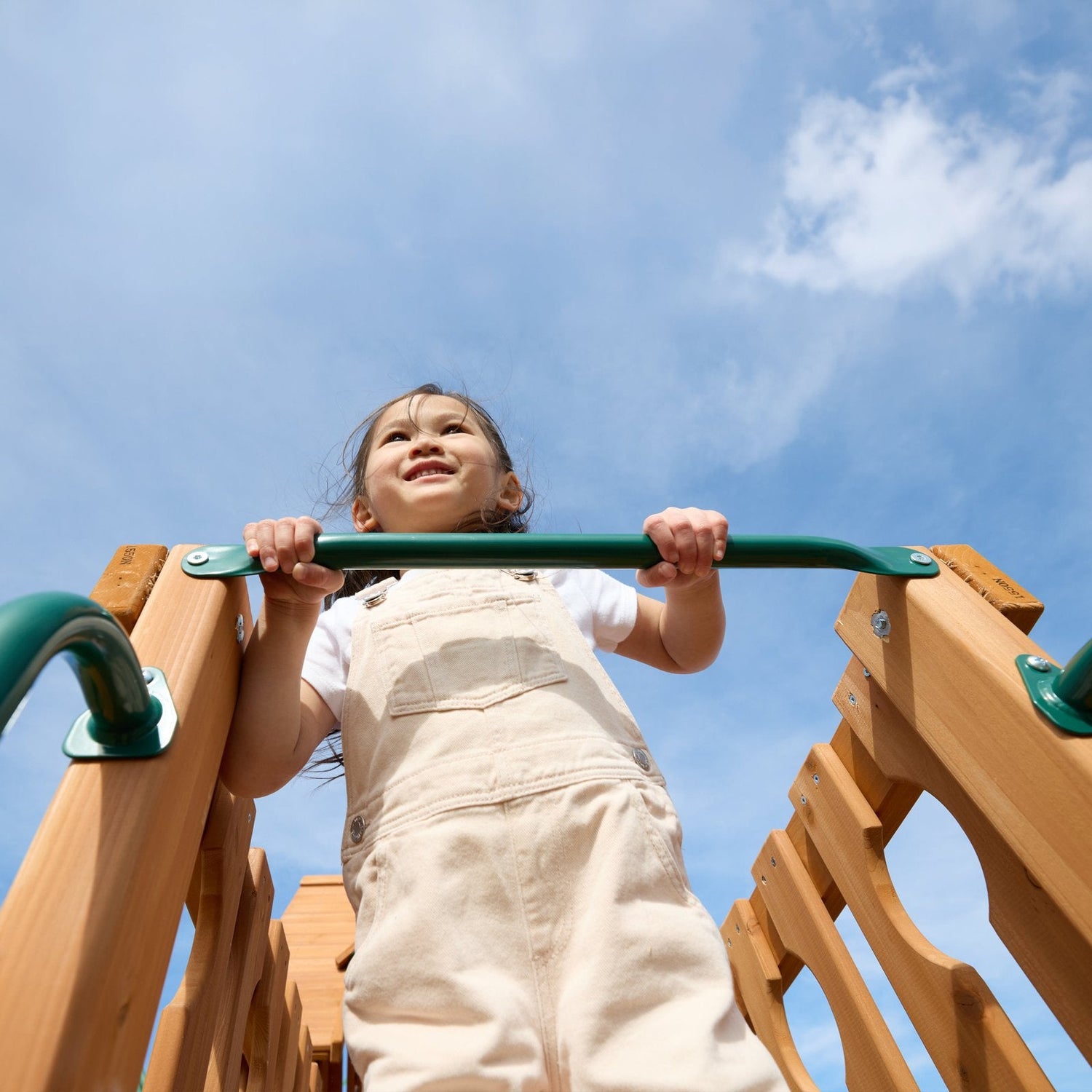 Summerville Deluxe Swing Set