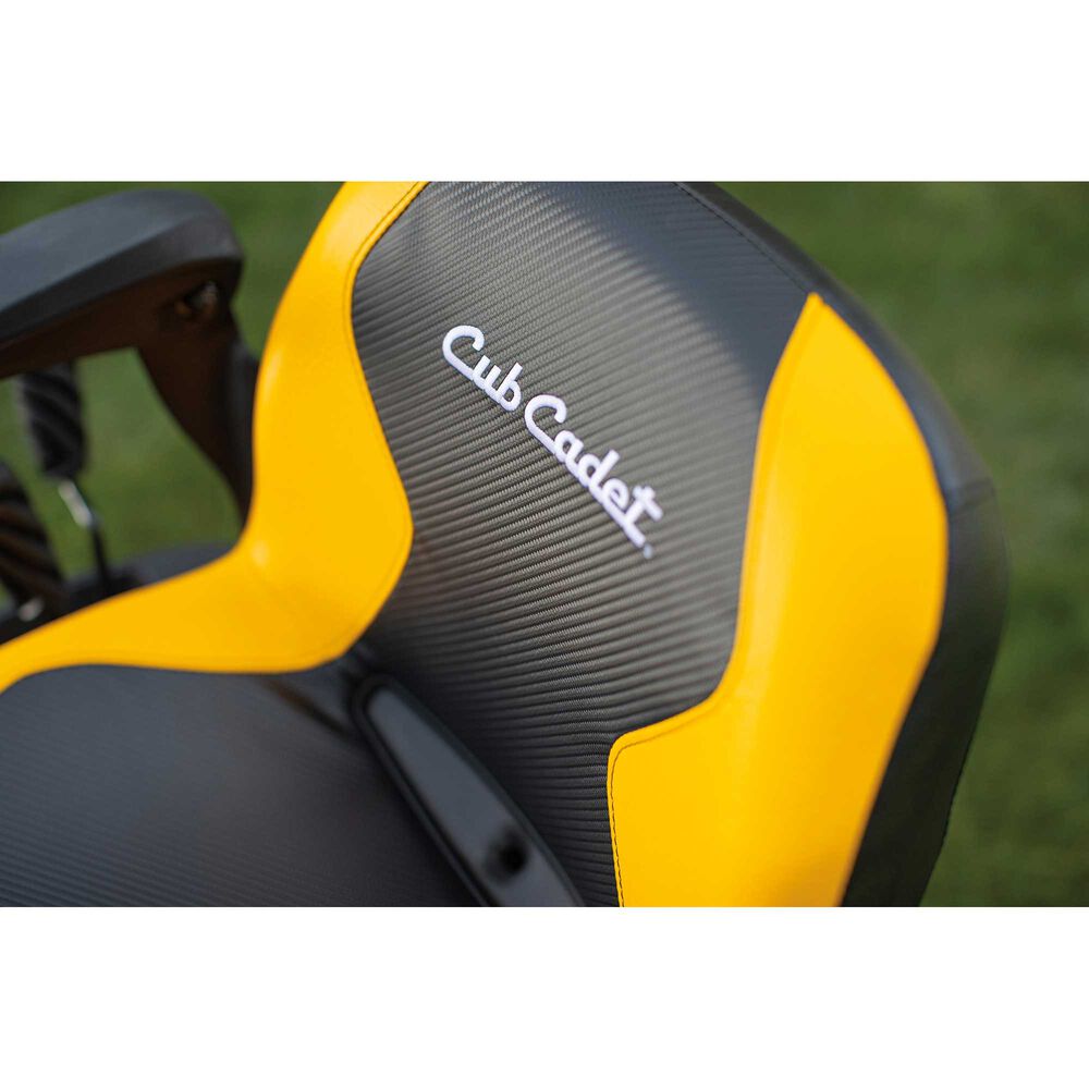 Cub Cadet LX42 XT2 Riding Lawn Mower | Enduro Series | 42
